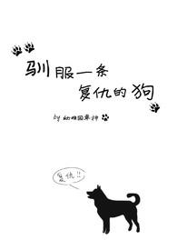 驯服一条复仇的狗幼稚园车神